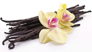 Vanilla Beans with Orchids